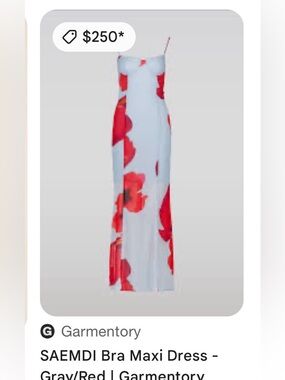 SAEMDI blue and Red Floral Maxi Dress size xs